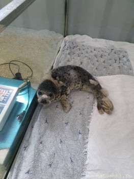 Новость дня-7. - IMG_20250330_183340_179.jpg