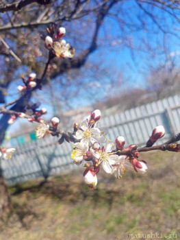 А что у нас с погодой? -6 - IMG20250404135928.jpg