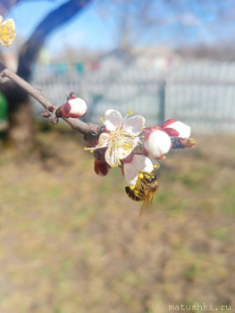 А что у нас с погодой? -6 - IMG20250404135935.jpg