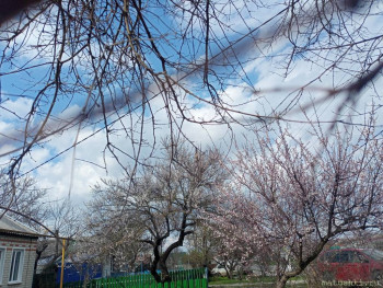 А что у нас с погодой? -6 - IMG20250405145223.jpg