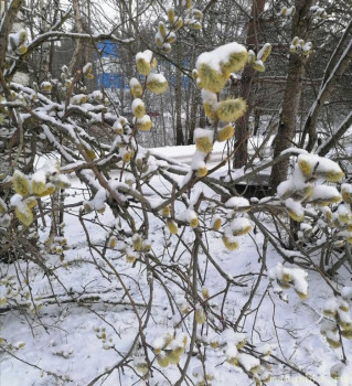 А что у нас с погодой? -6 - IMG_20250410_215219.jpg