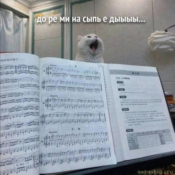 ВесЁлыЕ кАртинКи про нОтки, МУзыКу и т.п. - IMG_20250423_195253.jpg