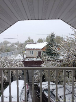 А что у нас с погодой? -6 - IMG_20250502_065641.jpg