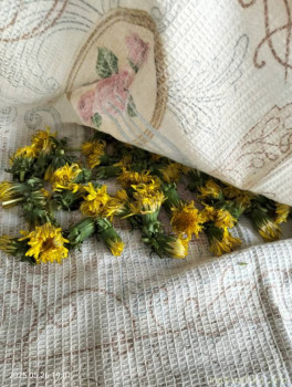 Из того, что выбрасываем сорняки и не только на огороде  - IMG20250526190125.jpg