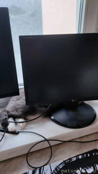 Любимая кошатинка  - IMG20250611191810.jpg