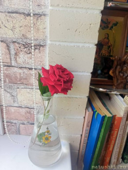 Наши цветы 2 - IMG20250613141754.jpg