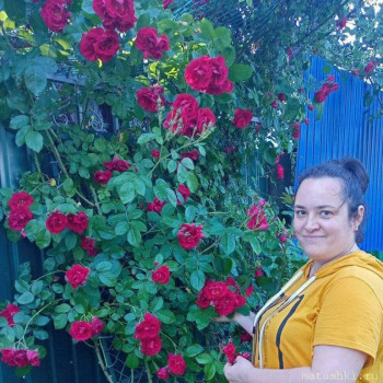 Наши цветы 2 - i (7).jpeg