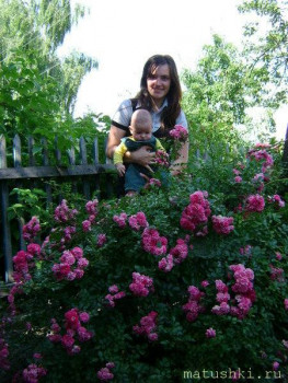 Наши цветы 2 - � �����.jpg