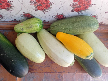 Кухонные разговоры флудим ТУТ -6 - IMG20250707105402.jpg