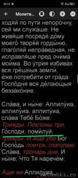 Текущие богослужебные вопросы - Screenshot_20250718-201536.jpg