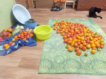 Консервируем овощи: целиком, салаты, соусы из них - IMG20250818193358.jpg