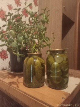 Консервируем овощи: целиком, салаты, соусы из них - IMG20250802215247.jpg