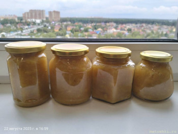 Варим варенье - IMG20250822165923.jpg