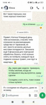 Эти наглые насекомые - тараканы  - Screenshot_2025-08-23-14-46-52-980_com.whatsapp.jpg