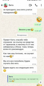 Эти наглые насекомые - тараканы  - IMG_20250906_205650.jpg