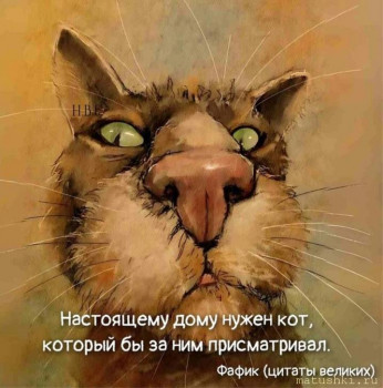 Любимая кошатинка  - IMG_20250913_101835.jpg