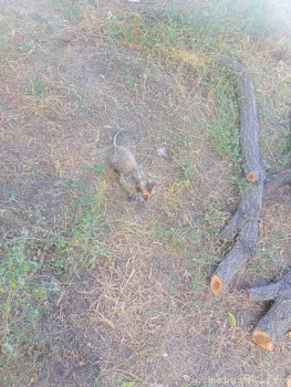 Любимая кошатинка  - IMG20250920165456.jpg