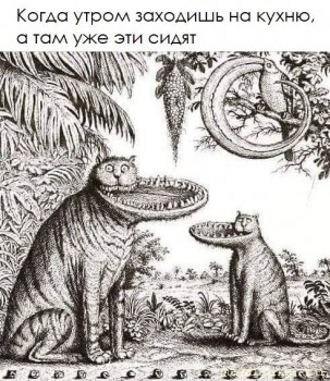 Любимая кошатинка  - x_tD2saX-eq3AkQUGDDMbL0LLIYV4tfo1WlZoH7hv1mS3WkZOvQ2x1Ovy43fNQLrGhnrdiNK.jpg