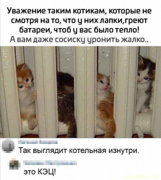 Любимая кошатинка  - IMG_20250928_220252.jpg