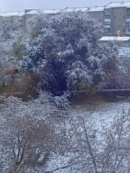 А что у нас с погодой? -6 - IMG_20251005_072500.jpg