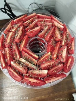 Кухонные разговоры флудим ТУТ -6 - IMG20251010193040.jpg