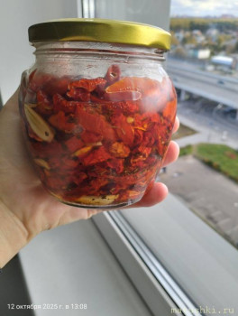 Кухонные разговоры флудим ТУТ -6 - IMG20251012130832.jpg