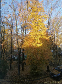 А что у нас с погодой? -6 - IMG_20251018_134930.jpg