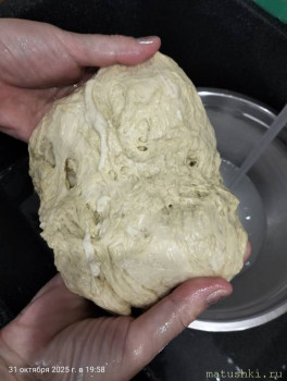 Сейтан: мясо из муки. - IMG20251031195829.jpg