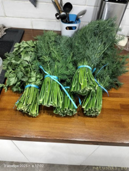 Кухонные разговоры флудим ТУТ -6 - IMG20251103170202.jpg