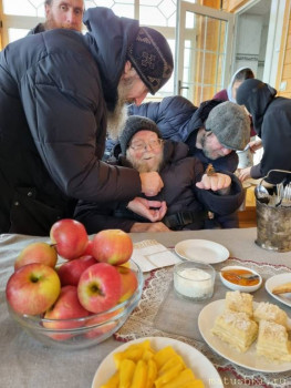 Бабочка, яблочки и Батюшка