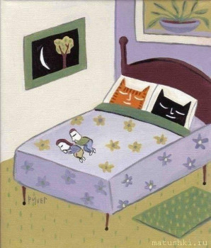 Страшнее кошки зверя нет  - IMG_20251111_183144.jpg