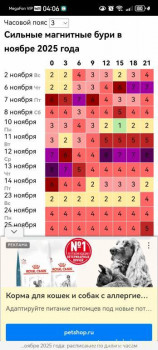А что у нас с погодой? -6 - Screenshot_20251114_040633_com.yandex.browser.jpg