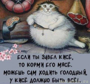 Любимая кошатинка  - photo_2025-11-18_20-49-39.jpg