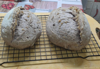 Домашний хлеб из духовки  - IMG_20251124_175838.jpg