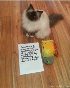 Страшнее кошки зверя нет  - 12ecaf410f58a3d10d94f044d7e9c51f.jpg