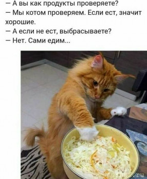 Страшнее кошки зверя нет  - j8IZLfH_ZUU.jpg