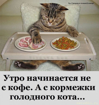 Страшнее кошки зверя нет  - UID2388725_1673595470_92 (1).jpg