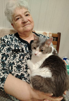 Любимая кошатинка  - IMG_20251217_211405.jpg