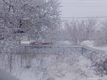 А что у нас с погодой? -6 - IMG20251229092706.jpg