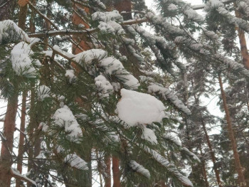 А что у нас с погодой? -6 - 20251228_135709.jpg