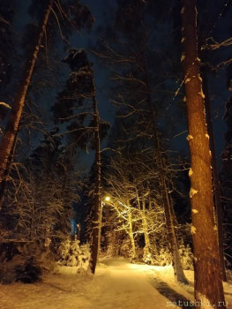 А что у нас с погодой? -6 - IMG20251230213915.jpg