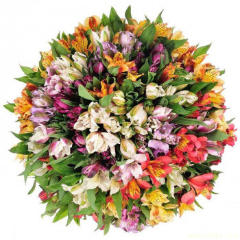 С Днём Рождения матушку Мирру  - 28_4.jpg