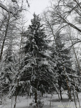 А что у нас с погодой? -6 - IMG_20260108_151012_241.jpg