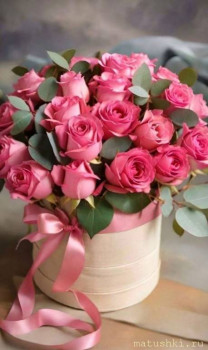 Поздравляем Падарок с Днём Рождения  - IMG_20260110_165132_139.jpg