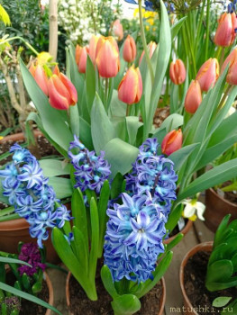 Поздравляем Падарок с Днём Рождения  - IMG_20240306_153840.jpg