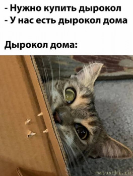 Страшнее кошки зверя нет  - 1641073825_1640626827_1640620107_podb_26.jpg