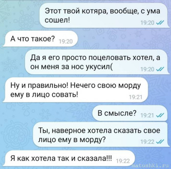 Страшнее кошки зверя нет  - scale_2400 (7).jpeg