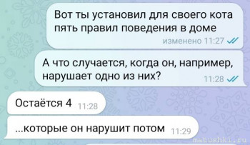 Страшнее кошки зверя нет  - scale_2400 (6).jpeg