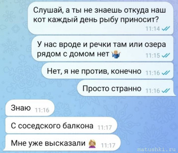 Страшнее кошки зверя нет  - scale_2400 (4).jpeg