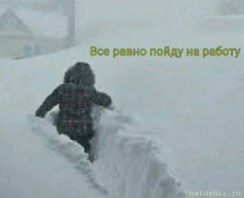 А что у нас с погодой? -6 - IMG_20260127_064629.jpg